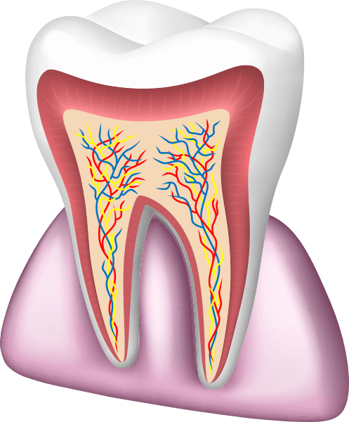 dental care3